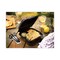Pactiv Corp. 3 Compartment 9.33 in. x 8.88 in. x 3.1 in. EarthChoice SmartLock Microwavable MFPP Hinged Lid Container - Plastic, Black (120/Carton)